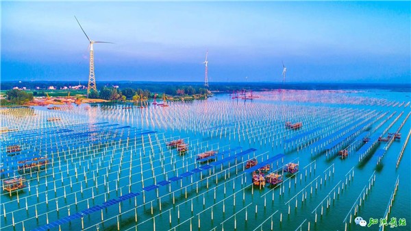 领跑 · 创变 · 赋能 --2018首届中国光伏产业