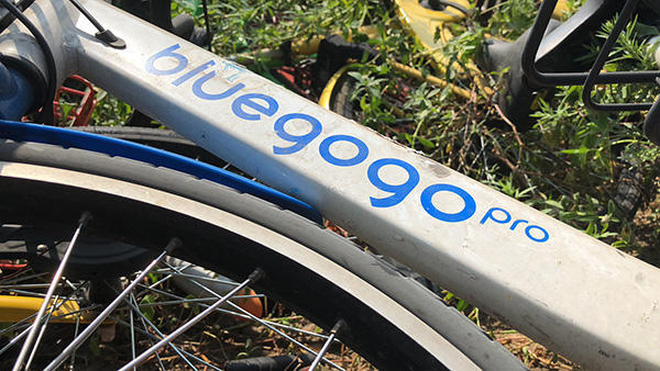 南京网红景点旁万辆共享单车堆积 城管下最后