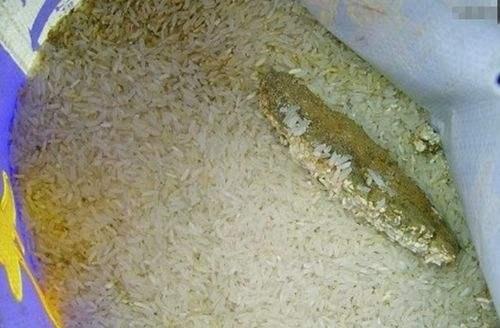 安徽通报幼儿园大米长虫事件 其法人代表被刑拘