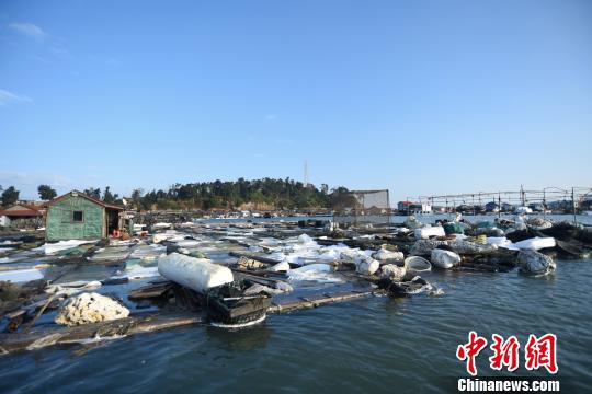 é±¼æä¸çæ³¡æ²«æµ®æè¢«èè| ä¸­æ°ç½éé¾å±±