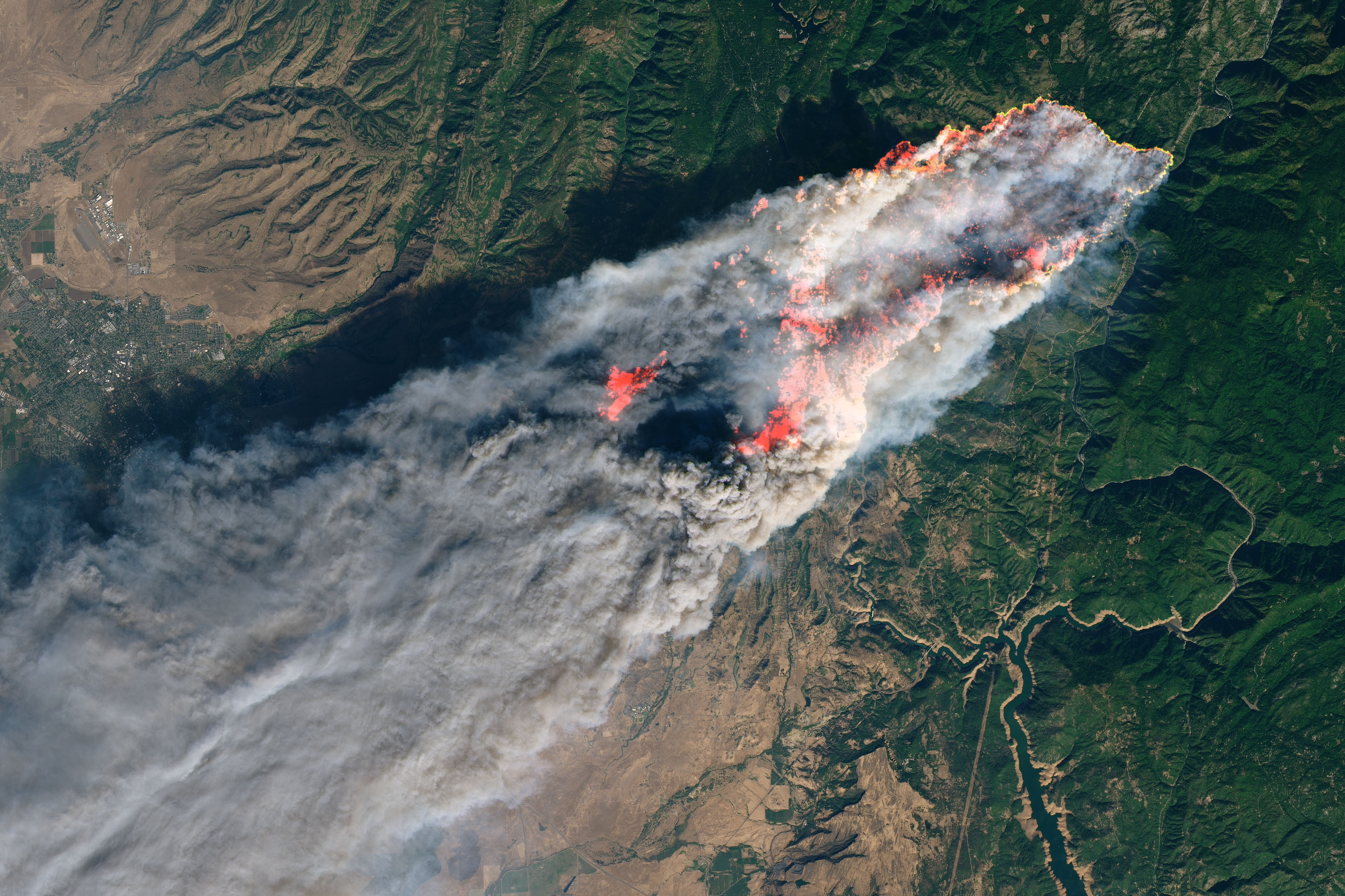 加州恐怖山火蔓延 特朗普指责森林管理：学聪明点儿