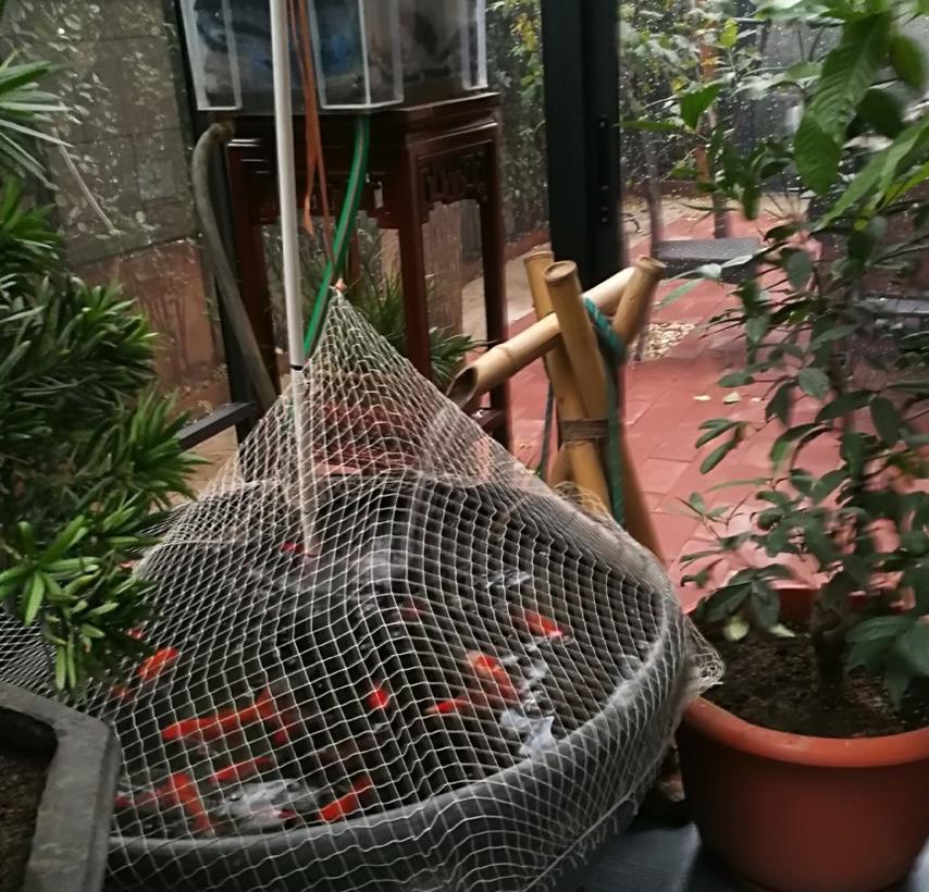 杨幂爸爸晒自家豪宅美景，拍摄技术亮了