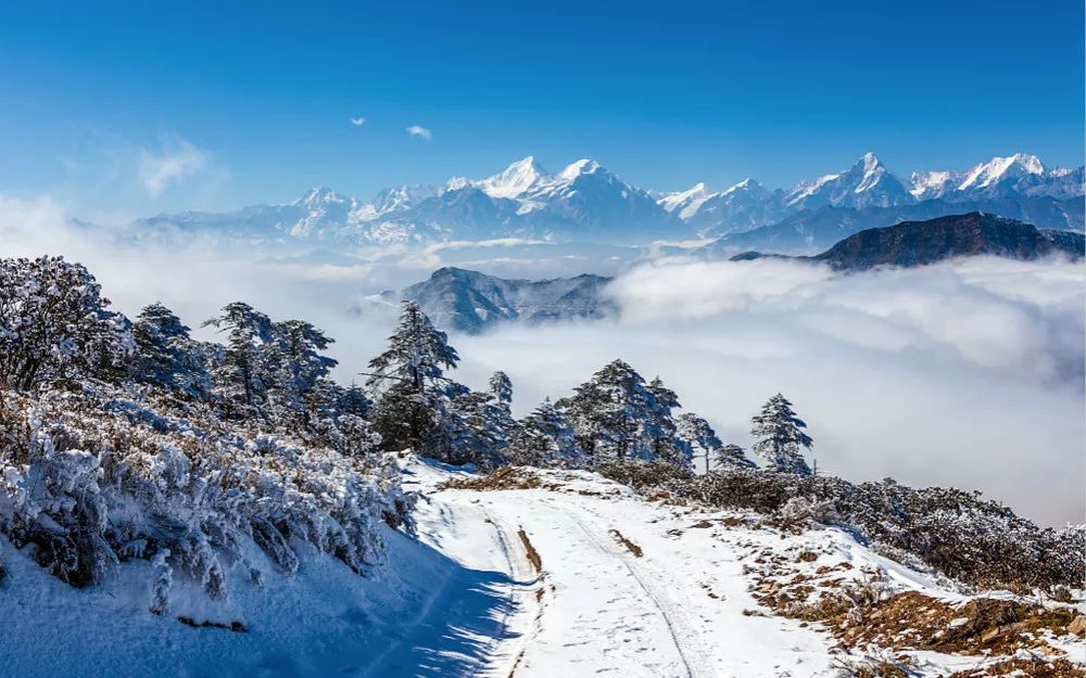 此生必去的川藏线上有一条人们用生命守护的雪线邮路大美中国