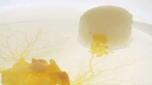 人花百年规划设计的铁路网 无脑生物26小时就搞定了