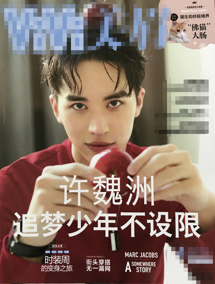 2018杂志收割机许魏洲 一年登24刊封面成绩亮眼