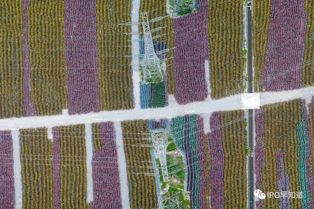 有些车强调自己“活着”,却看似“死了”,留下20亿美金打造的坟墓