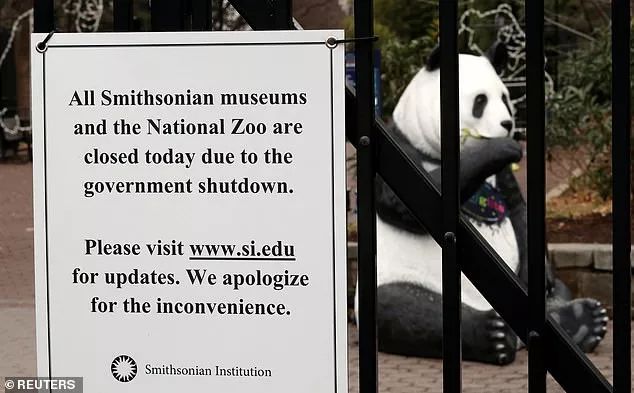 “熊猫直播”被掐断 美国政府部分停摆殃及国家动物园