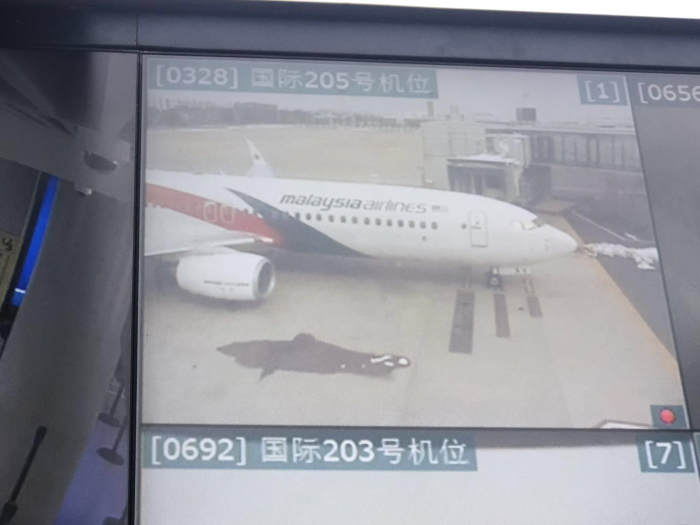 【视频】马航机长摔跤航班取消，南京边检办理整机退关