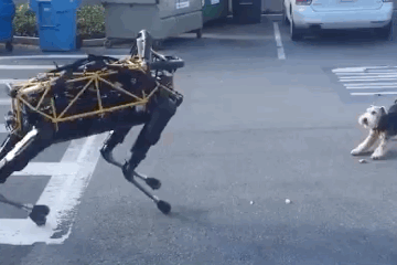 喂，315吗？我花299元买到一只人工智障！