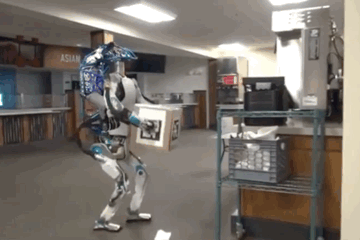 喂，315吗？我花299元买到一只人工智障！