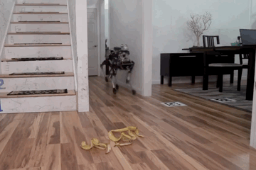 喂，315吗？我花299元买到一只人工智障！