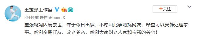 王宝强母亲确认因病去世：希望可以安静处理家事