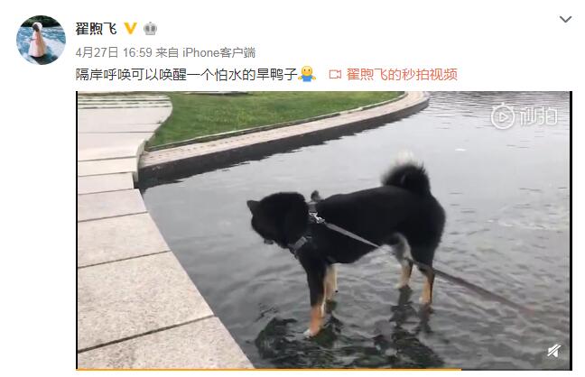 雷佳音出轨佟丽娅？他老婆发声辟谣了！