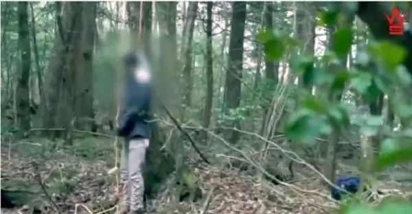 男网红拍视频舌吻妹妹和亲妈，太变态了，简直震碎三观！