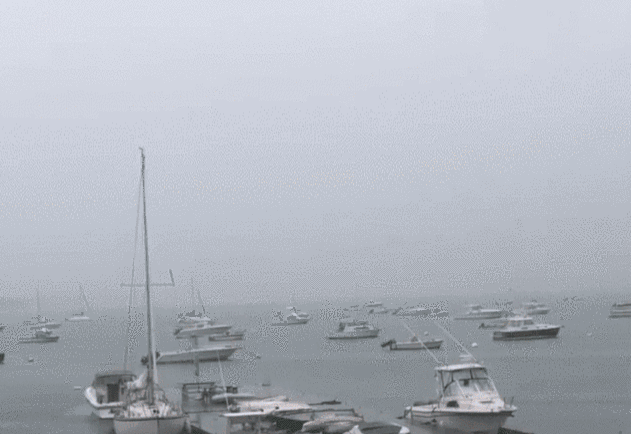 631_434gif 动态图 动图