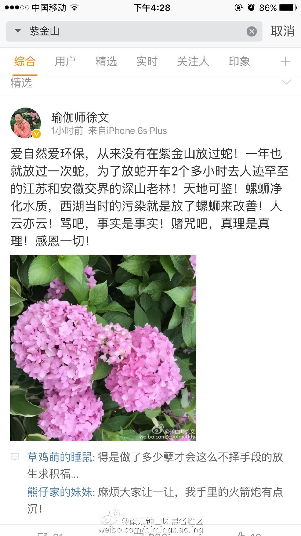 文章配图
