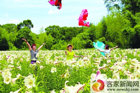 会昌:生态文化融入乡村旅游规划_凤凰江西