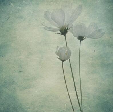 今明两年感情波折多的人