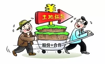 农村合作社_合作社是靠什么收入的(3)