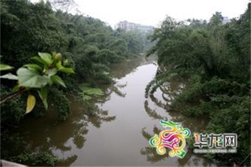 巴南区书记李建春:让花溪河呈现水清岸绿美景
