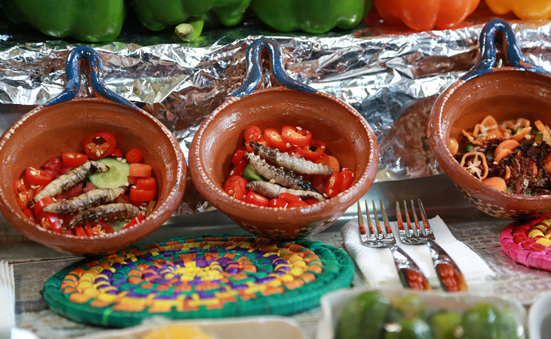 组团吃蝎子!郭晶晶紧捂胸口 刘翔呛出眼泪(组图)