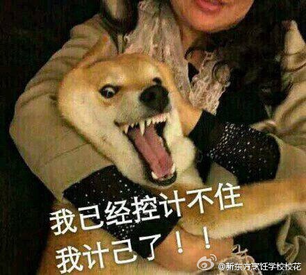 多人口舔_人口多的图片(3)