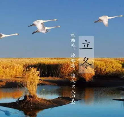 今日立冬:冬天来了,你准备好了吗?