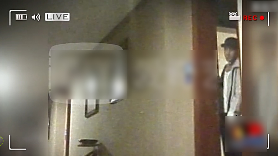 王鸥刘恺威房间密会 王鸥关门时只穿黑内裤(图)