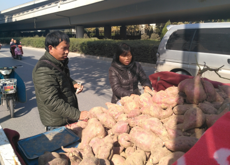 登封夫妇郑州卖红薯 1000多斤红薯遭口罩男偷走