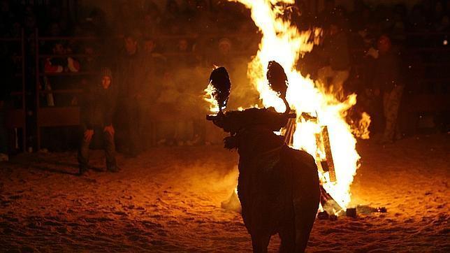 慎入:公牛被活活烧死 西班牙残忍祭祀惹争议(视)