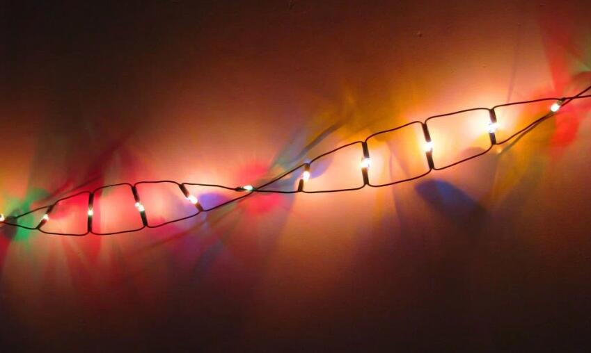 世界首例！中国科学家完成基因编辑人体临床试验