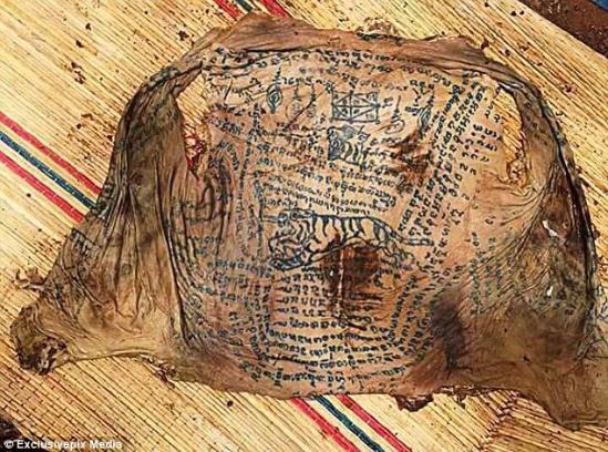 文章配图