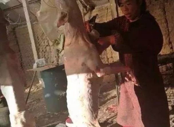 银川非法屠狗场 金毛藏獒遭剥皮拆骨 - 梅思特 - 你拥有很多,而我,只有你。。。 银川非法屠狗场 金毛藏獒遭剥皮拆骨 - 梅思特 - 你拥有很多,而我,只有你。。。