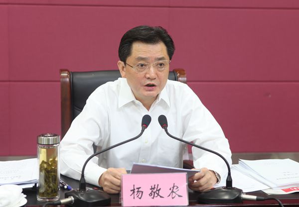 安徽省政府秘书长、党组成员杨敬农被查