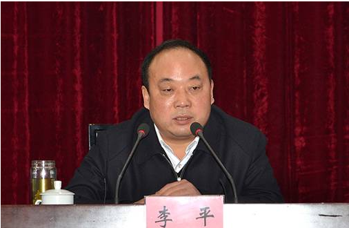 
李平在阜阳市五届人大一次会议闭幕会上的讲话
