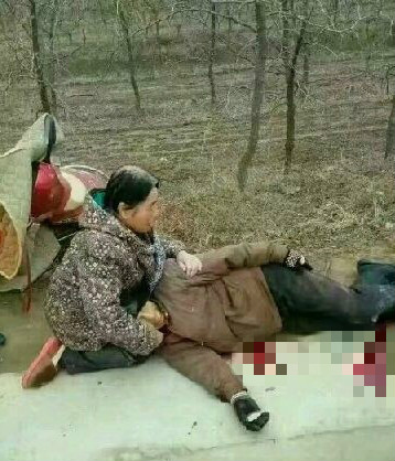 陕西4歹徒光天化日砍伤老人逃逸或因征地矛盾