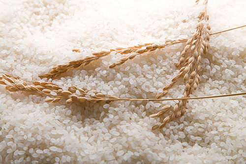 蒸米饭时中加一物，排毒效果惊人
