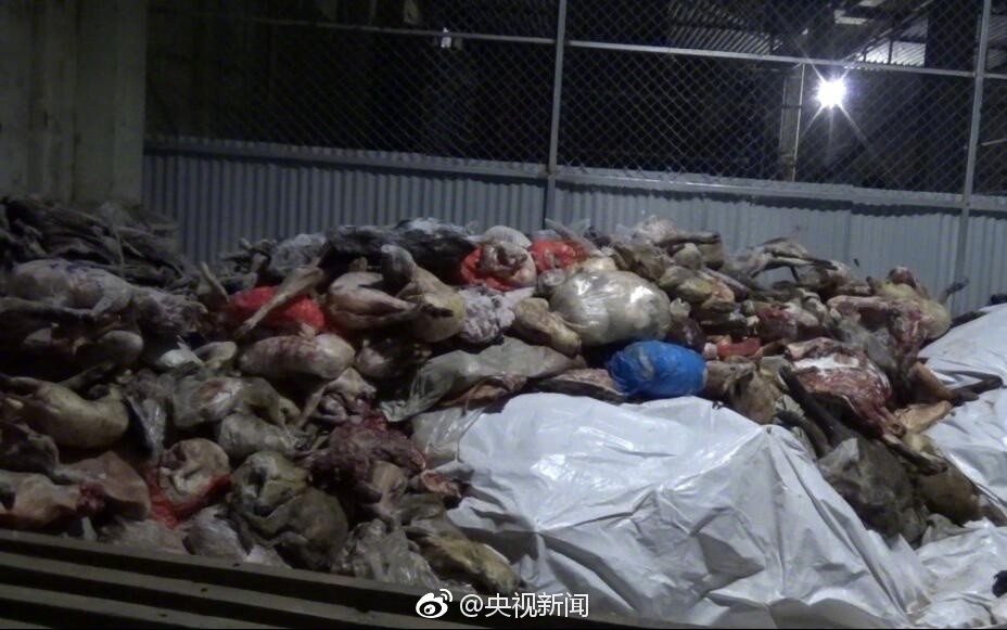 千只野生动物遭捕杀 尸体遍地 - 梅思特 - 你拥有很多,而我,只有你。。。 千只野生动物遭捕杀 尸体遍地 - 梅思特 - 你拥有很多,而我,只有你。。。
