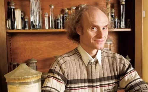 猫会让人变疯吗?科学证明你可能被弓形虫操控