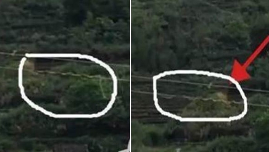 惊奇！村民偶遇大长蛇在空中电线上爬行