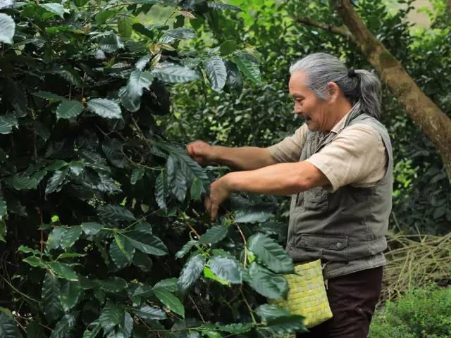 一家七口住4万平米,想想都羡慕 - 子泳 - 子泳WZ的博客 一家七口住4万平米,想想都羡慕 - 子泳 - 子泳WZ的博客