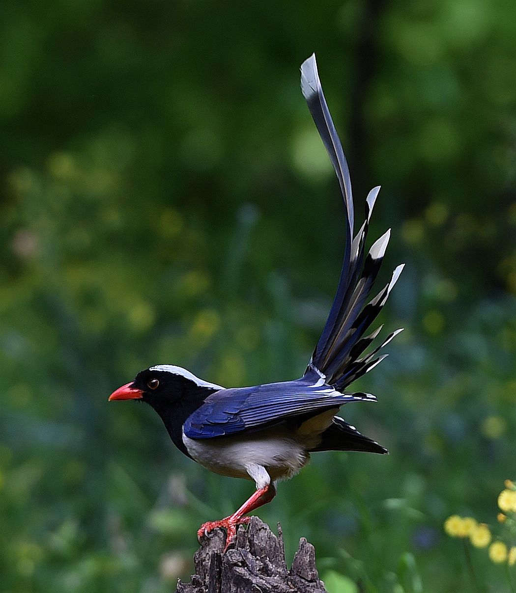 老年文化频道投稿优秀摄影作品:《驼影》《凝