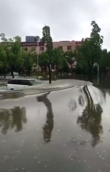 南京大暴雨 !小偷站在齐腰积水里辨认现场(组图)