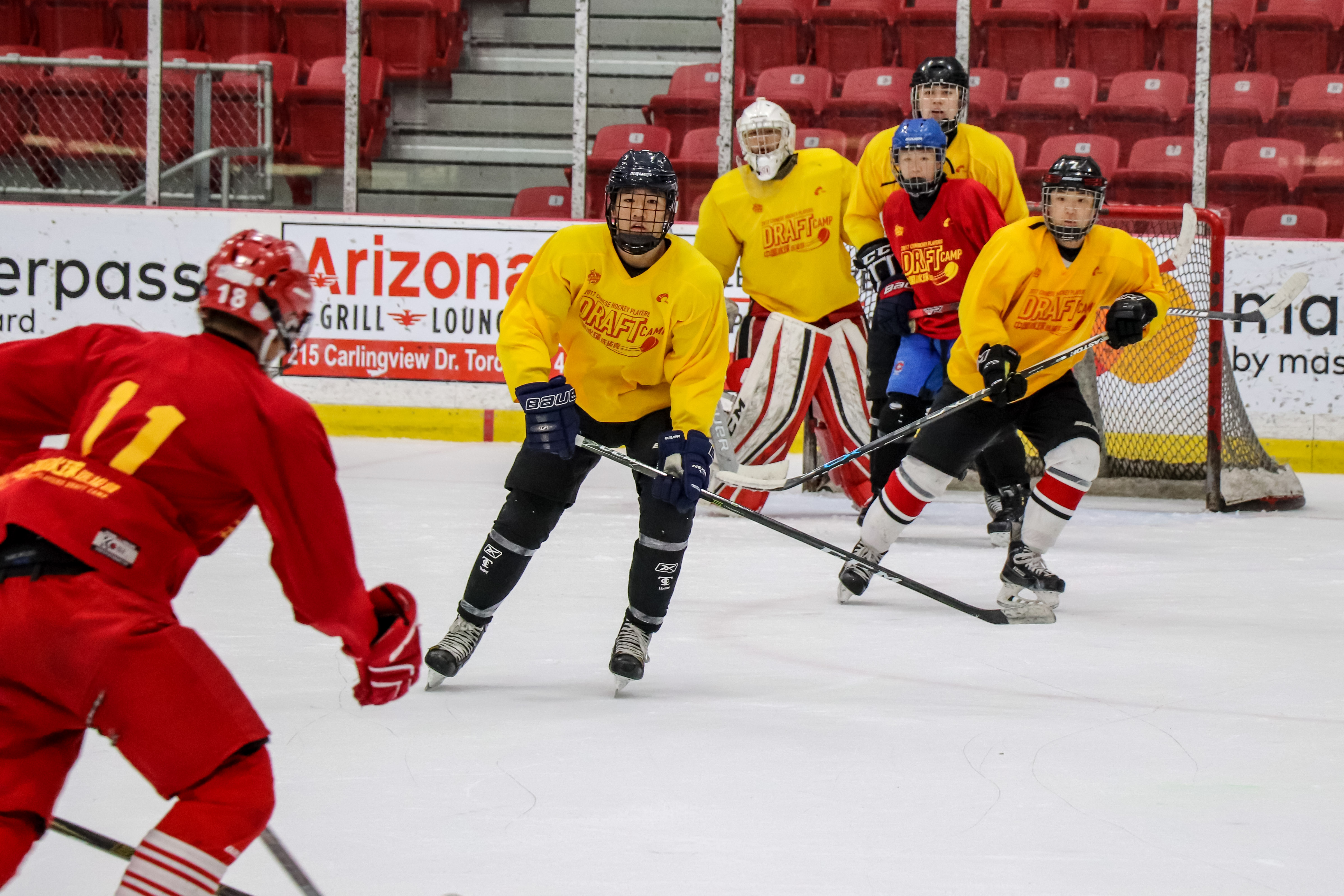中国冰球结束多伦多选拔 超百名海外球员参与