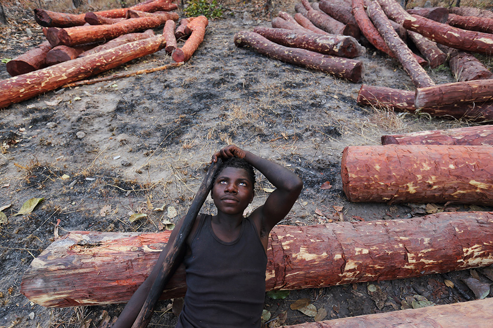 文章配图