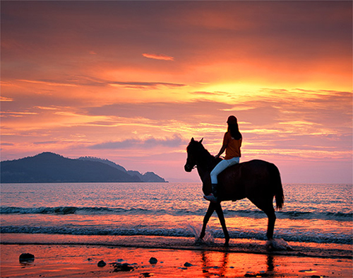 [诱人的南方之旅] 神秘的沙岛荏子岛① 享受12km海边骑马