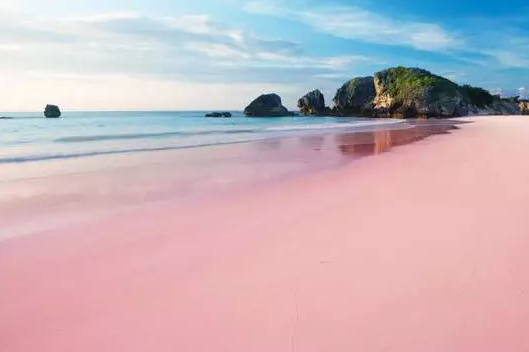 盘点全球各地奇异海滩 粉色海滩圆你公主梦