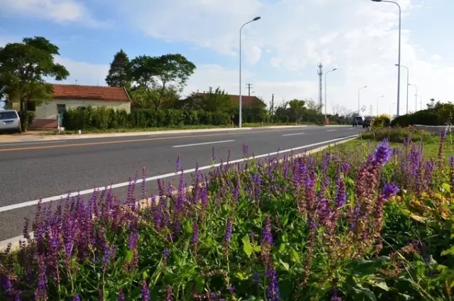 没去过这几条沿海公路 别说你看过青岛的海! - 东方旭 - 旭东方的博客欢迎您!