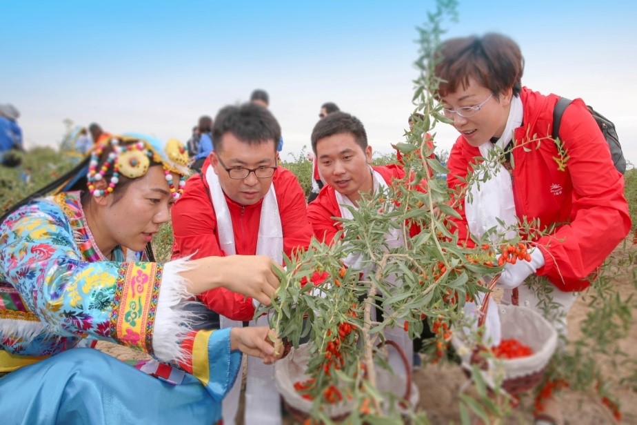 无限极道地原料溯源之旅，探秘高原“红色圣果