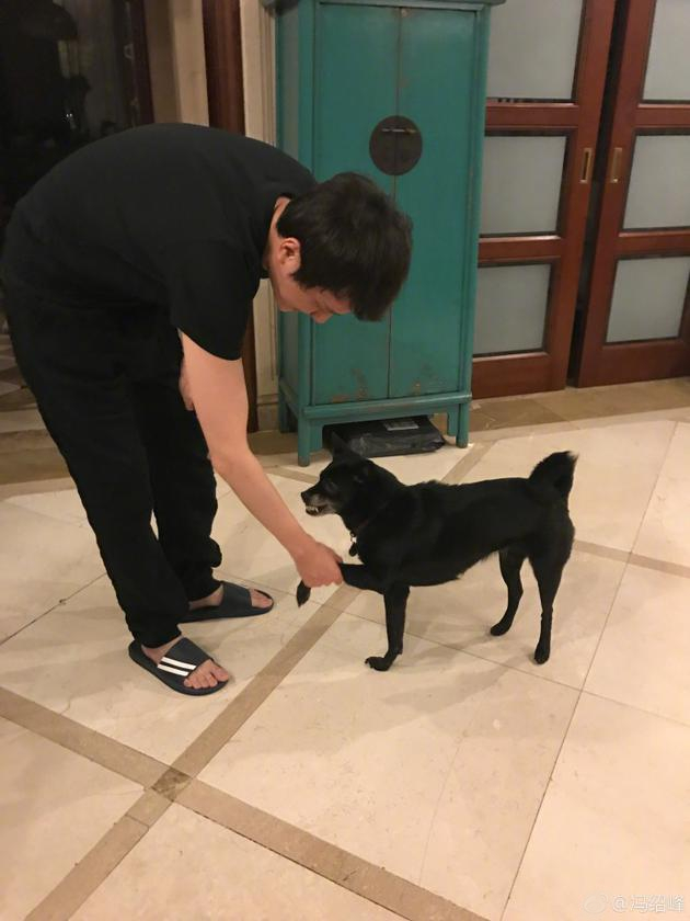 冯绍峰与狗狗握手称是友好会晤 粉丝：狗在笑